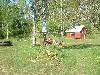 2003_0601_180127AA.jpg